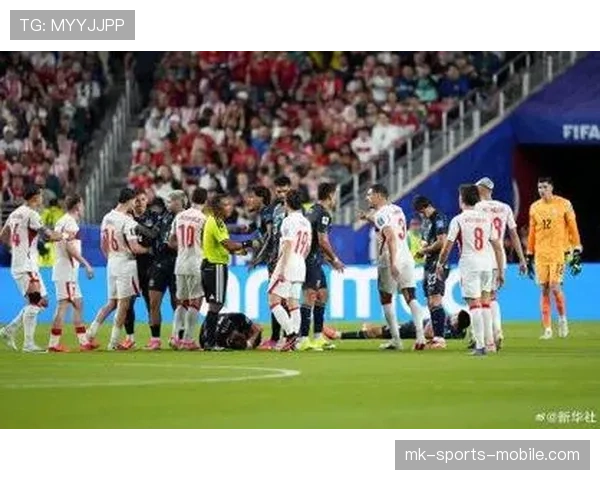 巴拉圭1-0土耳其回顾：D组第二轮关键胜利